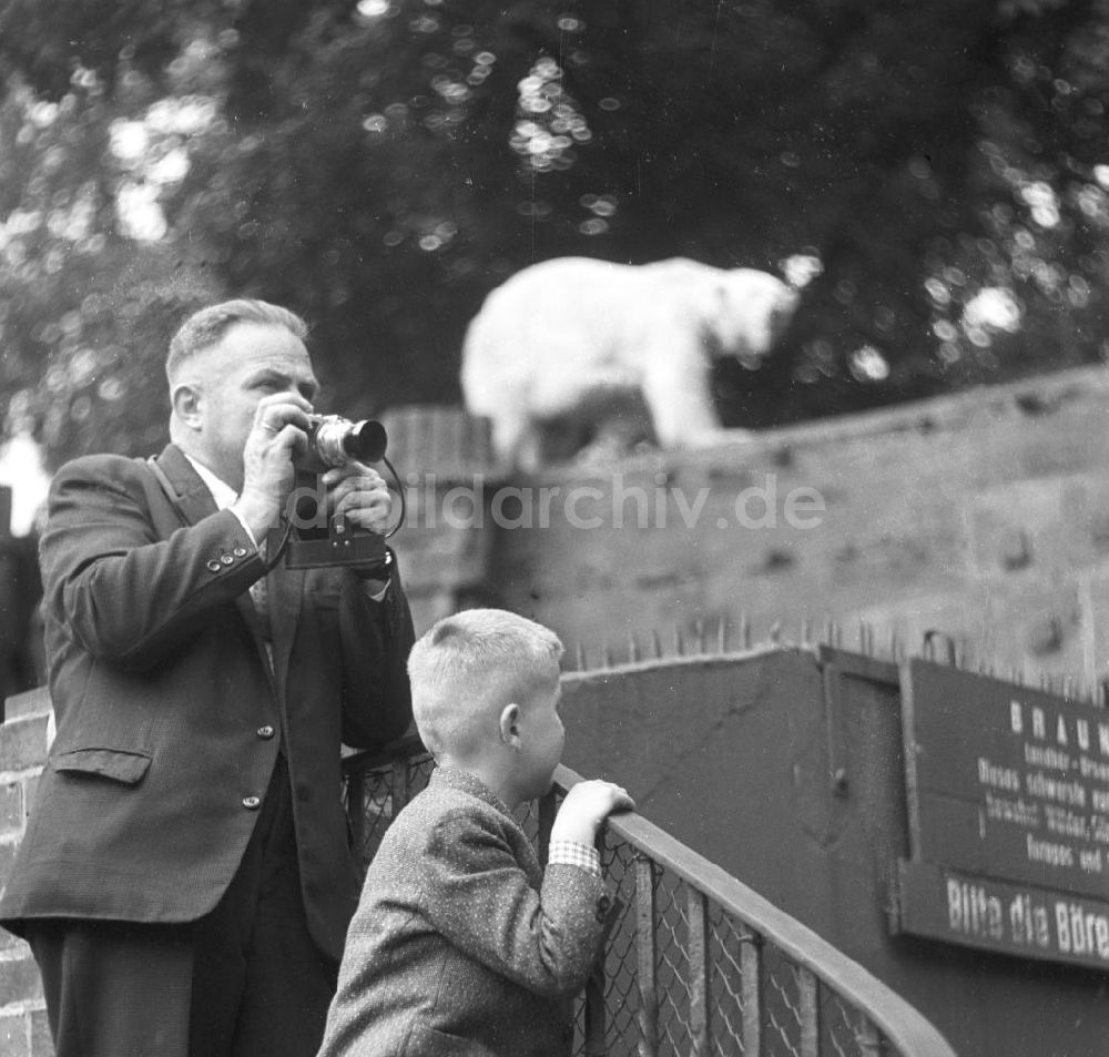 DDR-Fotoarchiv: Leipzig - Zoo Leipzig, 1961